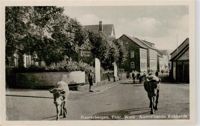 Finsterbergen Bad Austreibende Kuhherde