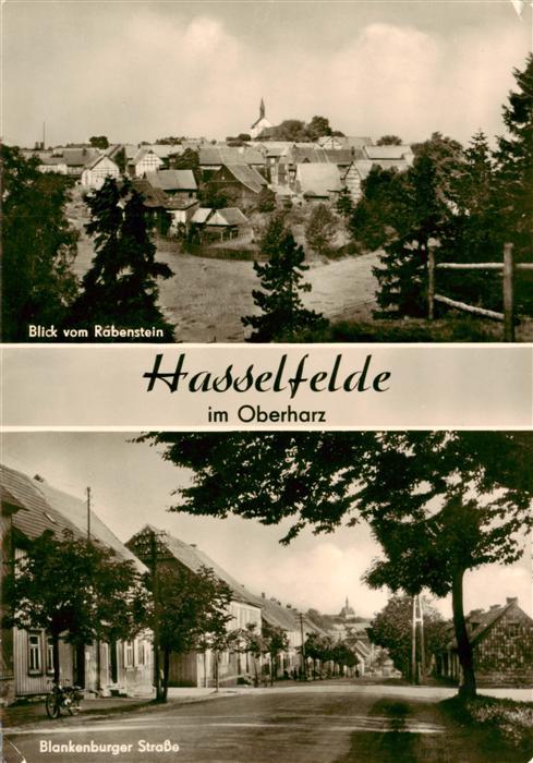 Hasselfelde Panorama Blick vom Rabenstein Blankenburger Strasse