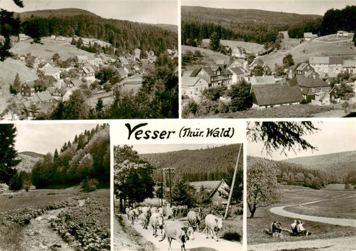 Vesser Rennsteig Thueringen Panorama Ortsansicht Viehauftrieb
