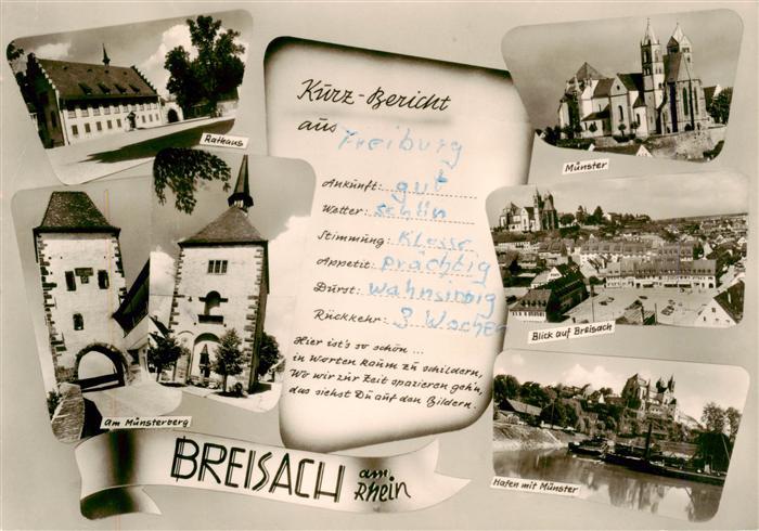 Breisach Rhein Rathaus Muenster Stadtpanorama Hafen