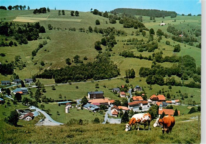Wieden Schwarzwald Panorama