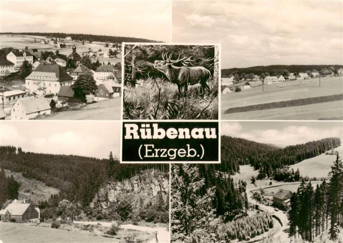Ruebenau Marienberg Sachsen Panorama Teilansichten Hirsch