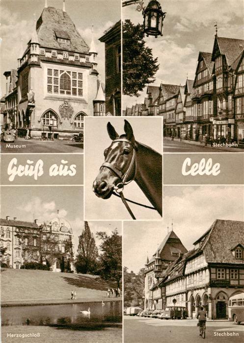 Celle  Niedersachsen Museum Stechbahn Herzogschloss Stechbahn