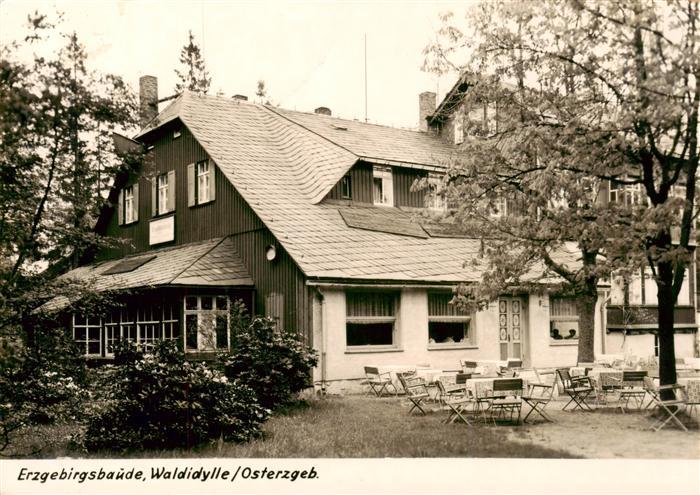 Waldidylle Altenberg Erzgebirgsbaude