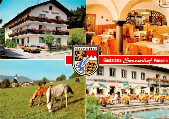Bad Endorf Gaststaette Pension Sonnenhof Gastraum Pool Terrasse Pferdekoppel