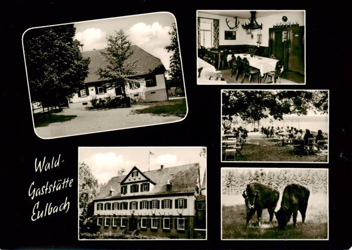 Eulbach Michelstadt Oberfoersterei Waldgaststaette Gastraum Freiterrasse