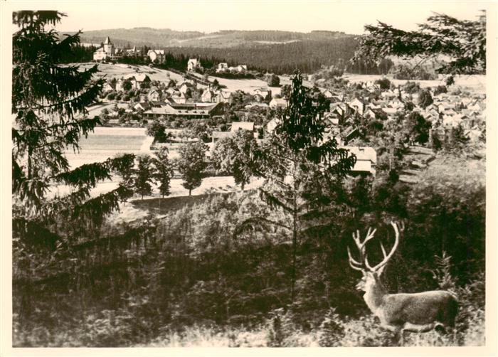 Finsterbergen Bad Blick vom Hainfelsen Hirsch