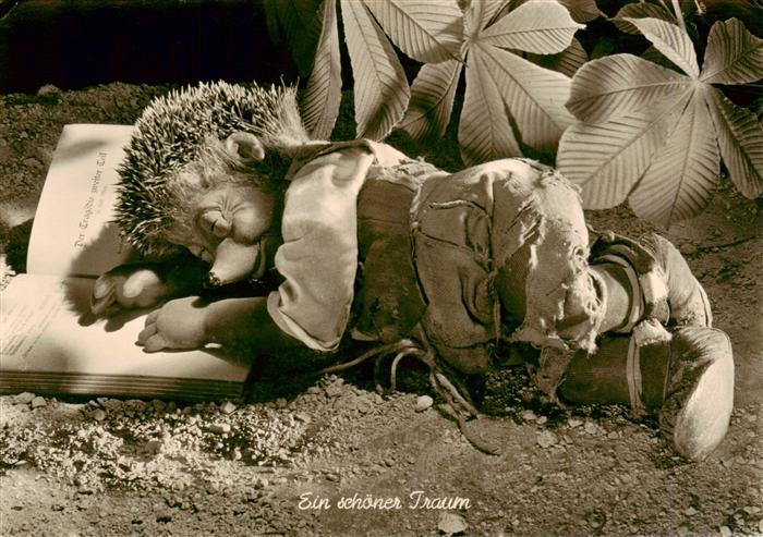 Mecki Nr. Nr.5 Diehl-Film HoeR ZU Ein schoener Traum