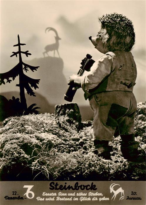 Mecki Nr. Nr. 501 Diehl-Film HoeR ZU Sternzeichen Steinbock