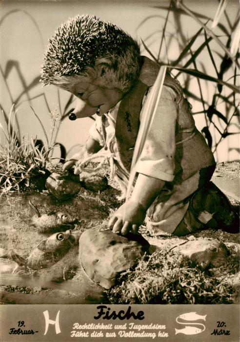 Mecki Nr. Nr. 503 Diehl-Film HoeR ZU Sternzeichen Fische