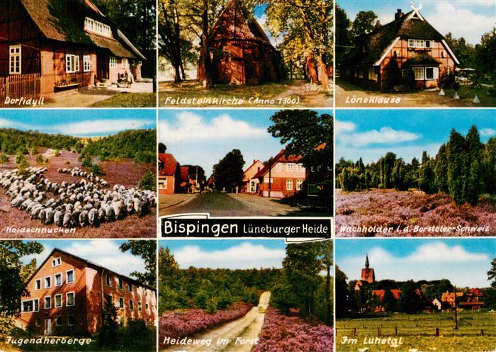 Bispingen Dorfidyll Feldsteinkirche Loensklause Heidschnucken Wacholder Jugendhe