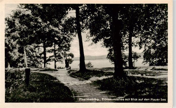 Plau Mecklenburg Eichbaumsallee mit Blick auf den Plauer See