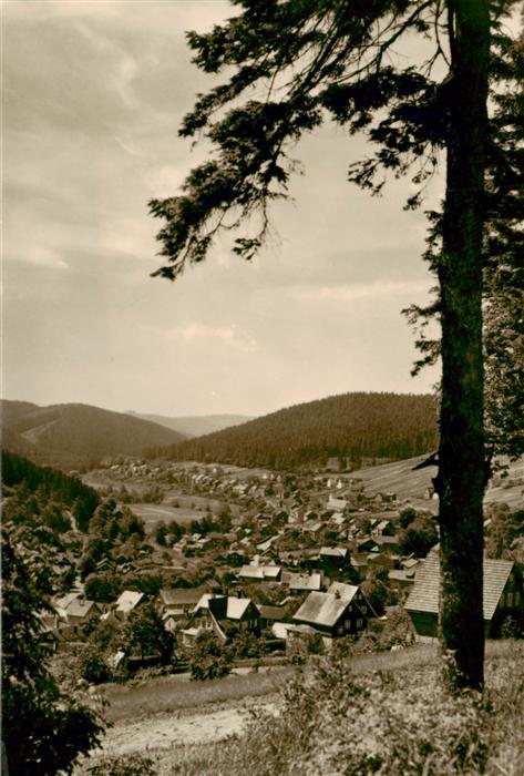 Manebach Panorama Luftkurort im Thueringer Wald