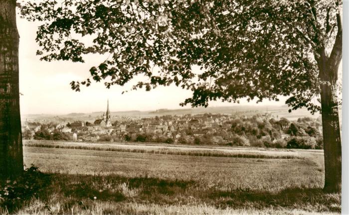 Geringswalde Panorama