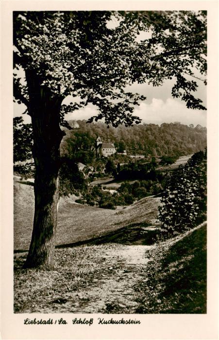 Liebstadt Schloss Kuckuckstein