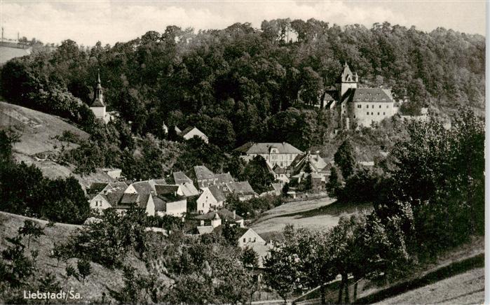 Liebstadt Teilansicht mit Schloss