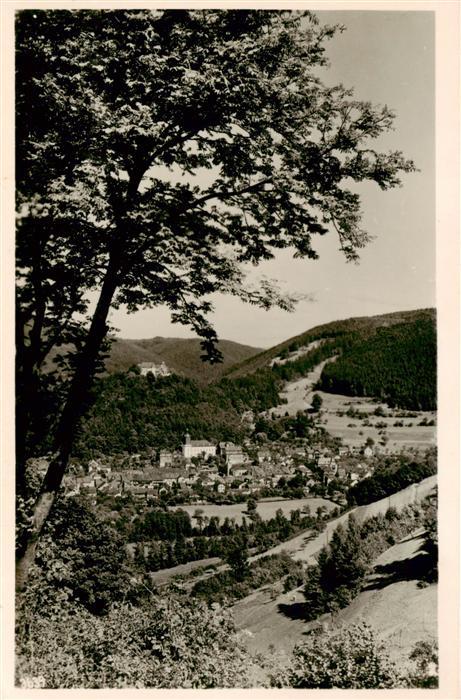 Leutenberg Thueringen Panorama Handabzug