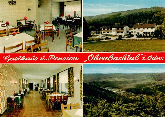 Miltenberg Main Gasthaus Pension Ohrnbachtal Gastraeume Panorama