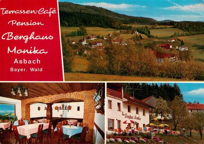 Asbach  Drachselsried Bayerischer Wald Terrassen Cafe Pension Berghaus Monika Pa
