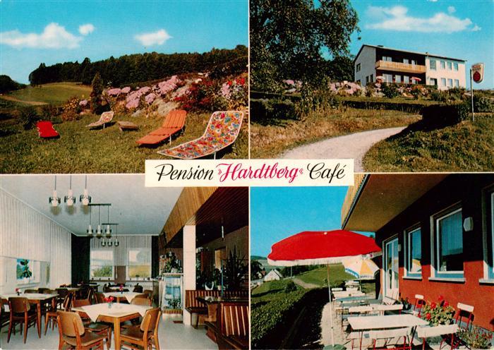 Airlenbach Pension Hardtberg Cafe Gastraeume Liegewiese