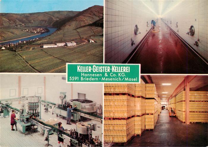 Mesenich Cochem Keller Geister Kellerei Panorama Werksraeume
