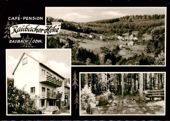 Raubach Odenwald Cafe Pension Raubacher Hoehe Panorama Waldpartie