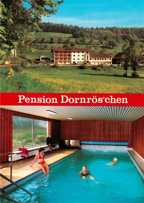 Hoechst Odenwald Pension Dornroeschen Hallenbad