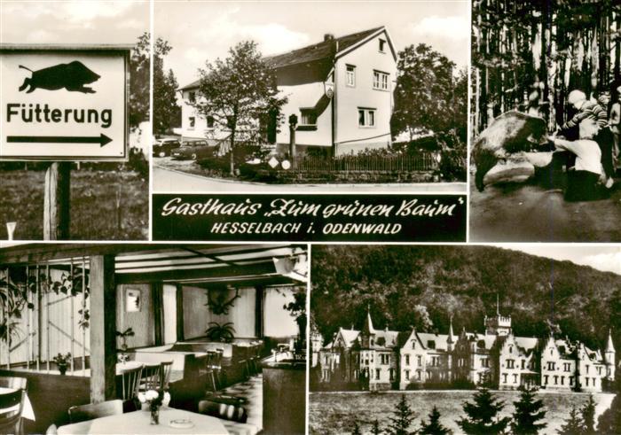 Hesselbach Odenwald Gasthaus Zum gruenen Baum Gastraum Schloss