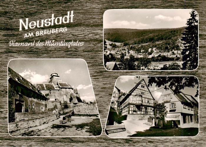 Neustadt Odenwald Teilansichten Panorama
