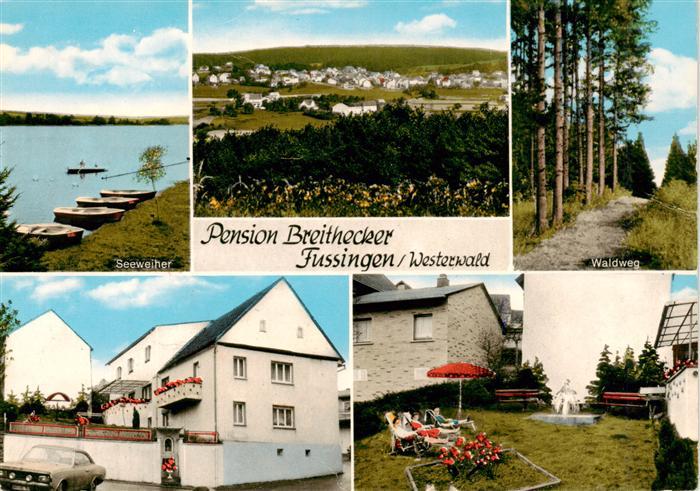 Fussingen Waldbrunn Westerwald Pension Breithecker Garten Seeweiher Waldweg Pano