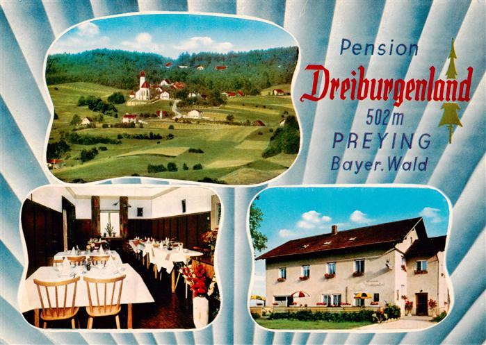 Preying Pension Dreiburgenland Gastraum Panorama