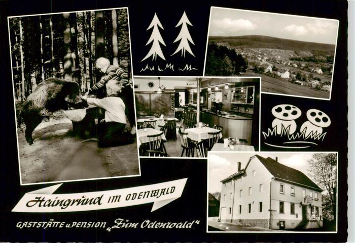 Haingrund Gaststaette Pension Zum Odenwald Gastraum Panorama
