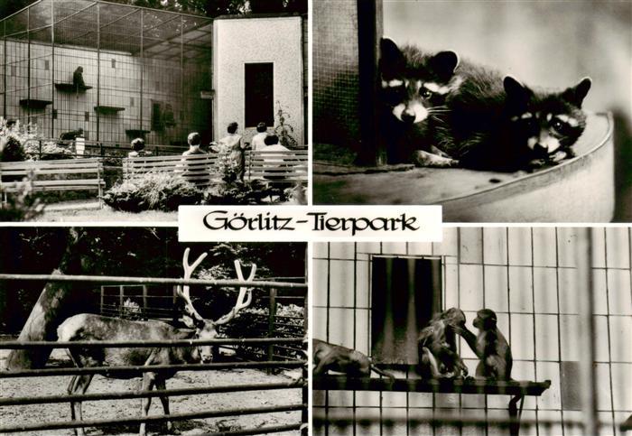Goerlitz  Sachsen Tierpark Teilansichten