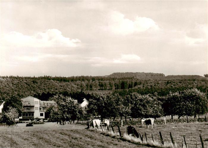 Bullau Erbach Odenwald Pension Schumbert Panorama