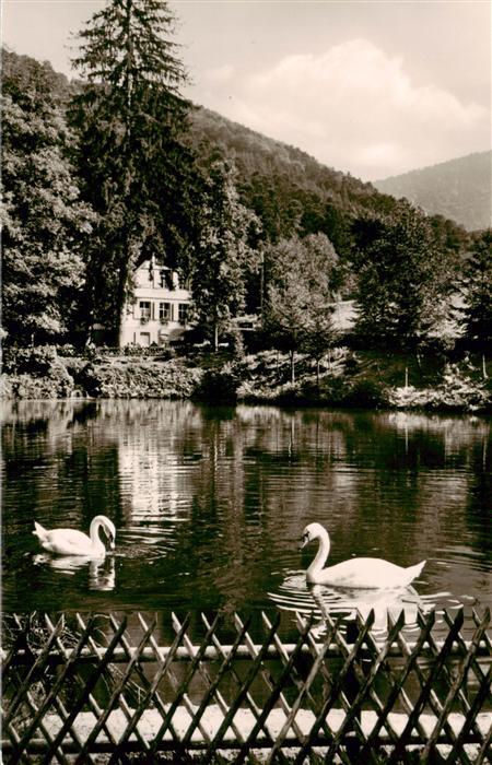 BADENWEILER BW Cafe Restaurant Bergmannsruhe