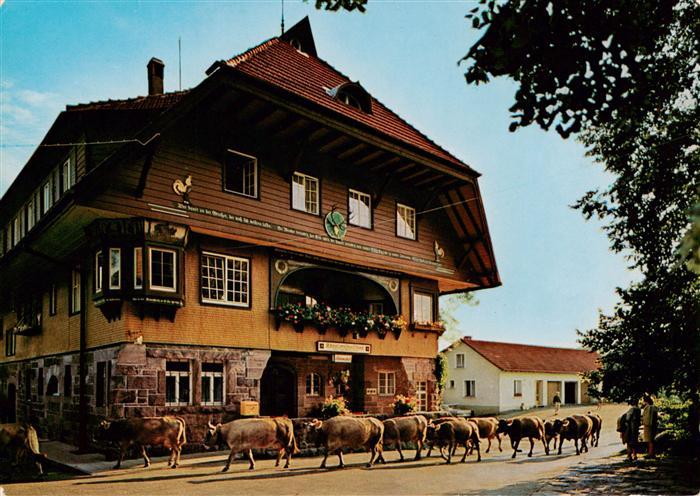 FREUDENSTADT BW Schwarzwaldgasthof Pension Adrionshof Viehtrieb