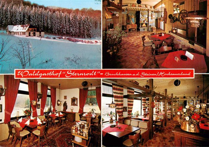 Olsberg Sauerland Waldgasthof Sternrodt Gastraeumen