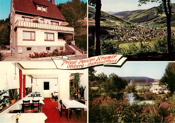 Olsberg Sauerland Privat Pension Kramer Gaststube Panorama Parkfontaene