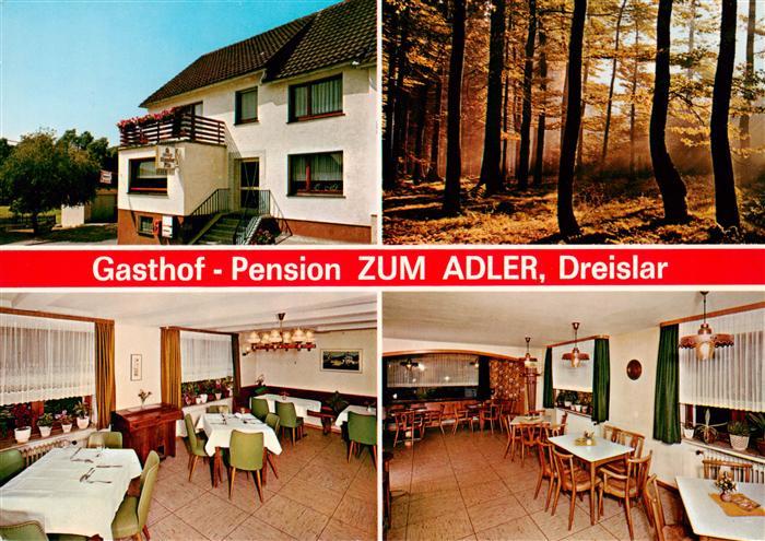 Dreislar Gasthof Pension Zum Adler Gastraeume Waldpartie