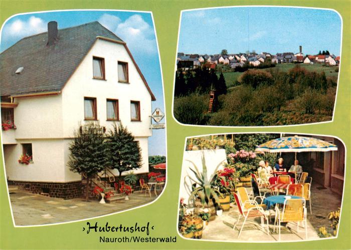Nauroth Westerwald Hubertushof Terrasse Panorama