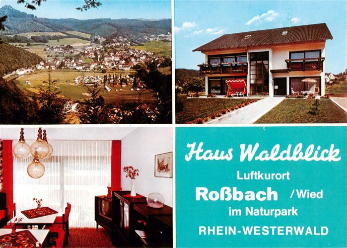 Rossbach Wied Haus Waldblick Gaststube Panorama