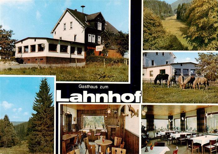 Lahnhof Gasthaus Restaurant zum Lahnhof Gastraeume Pferdekoppel Waldpartie