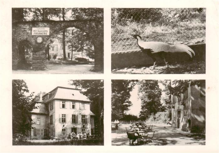 Schwarzburg Thueringer Wald HOG Fasanerie