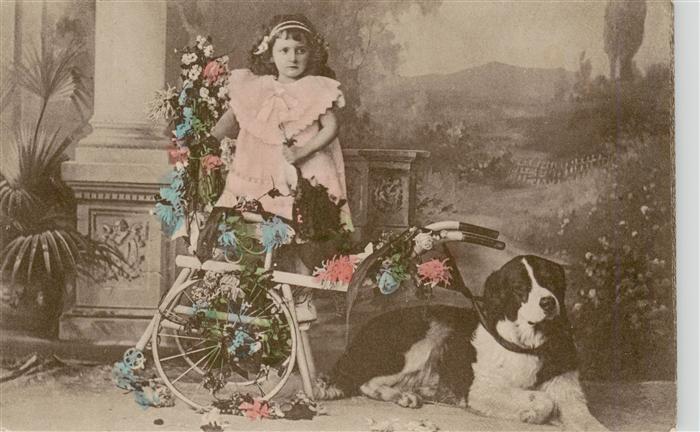 Bernhardiner Hund Dog Chien Kind Bernhardiner blumen