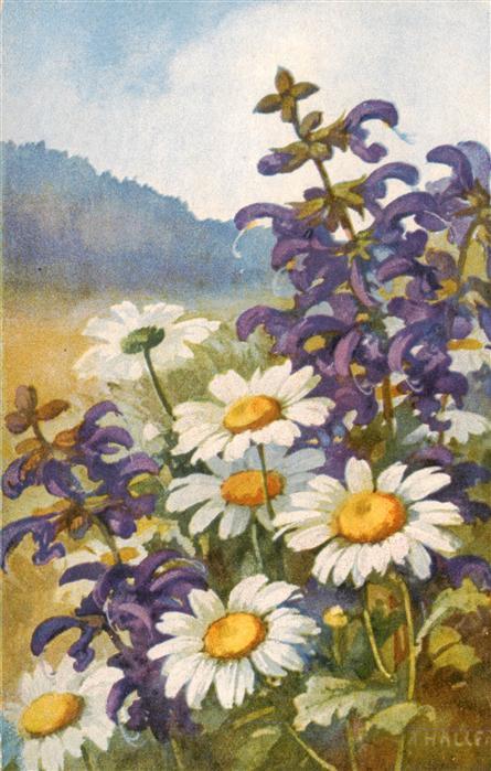 Haller Anna Nr 202 Blumen