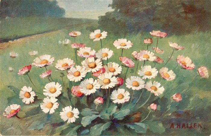 Haller Anna Bluemen