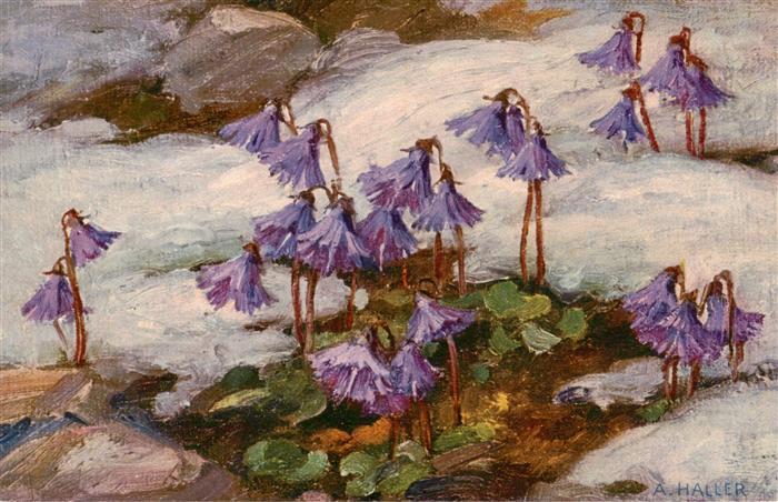 Haller Anna Nr. 307 Blumen im Schnee