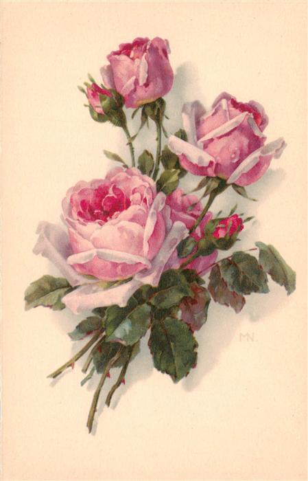Verlag Meissner und Buch Rosa Rosen