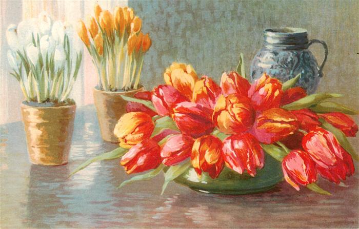 Verlag Meissner und Buch Tulpen