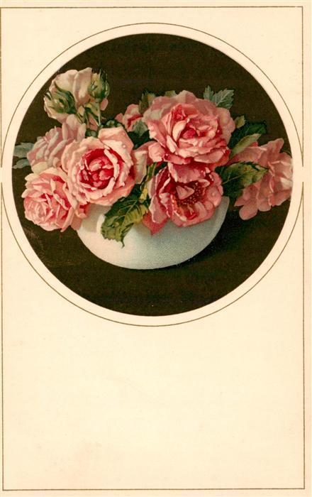 Verlag Meissner und Buch Blumen